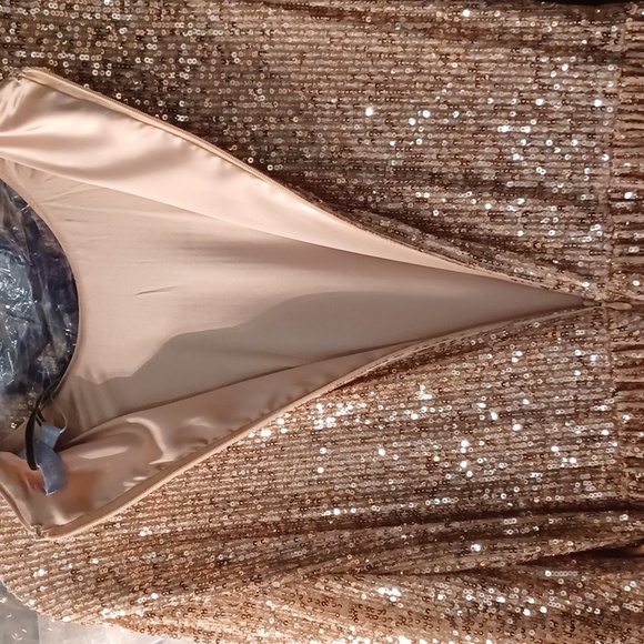 NWT ANTONIO MELANI x Nicola Bathie Nicola Sequin Belted Feathered A-Line Dress - Picture 14 of 16